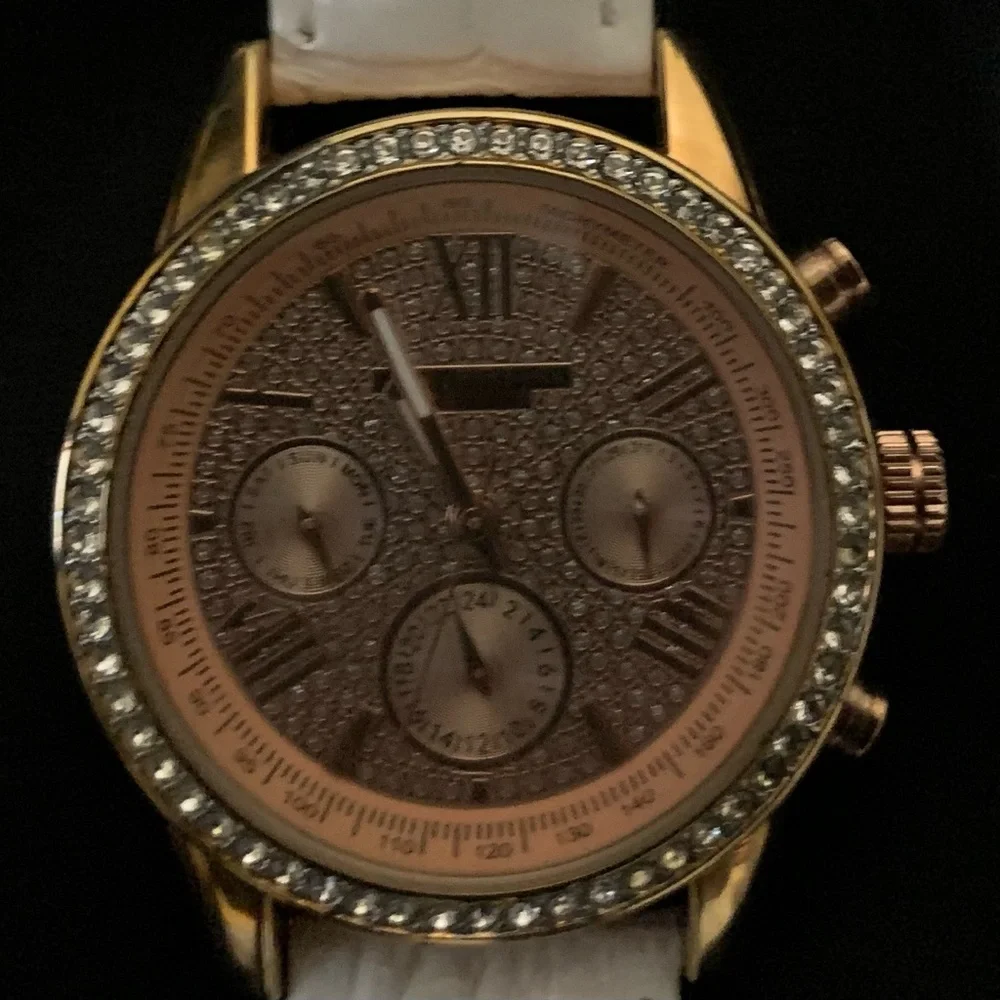 Akribos XXIV Watch - Picture 2 of 13